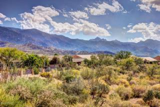 65695 Desert Rise Dr, Tucson, AZ 85739-1181
