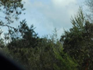 40324 Swift Rd, Eustis, FL 32736-9515