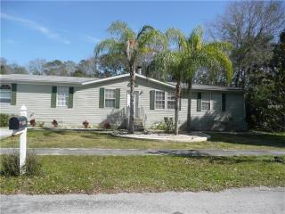 11314 Brussels Boy Ln, Riverview, FL 33578-6157