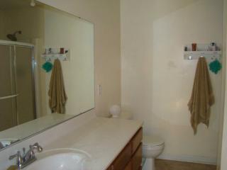 337 Oakpointe Ln, Lexington SC  29072-7232 exterior