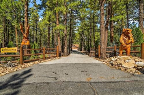 1030 Wilderness Dr, Big Bear City, CA 92314-8873