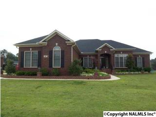 417 Thoreau Spring Rd, Madison AL  35758-3645 exterior