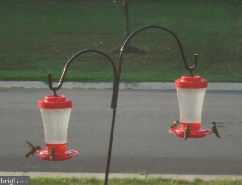 16832 Fairfax Dr, Owens VA  22485-5649 exterior