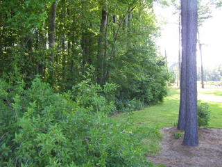 26416 Bull Branch Dr, Onancock, VA 23417-3713