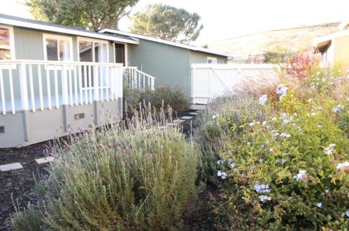 226 Mountain Springs Dr, San Jose CA 95136-1233 exterior