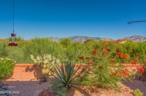 14140 Willow Bend Dr, Tucson, AZ 85755-5831
