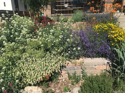 1555 Jackson St, Denver CO 80206-1921 exterior