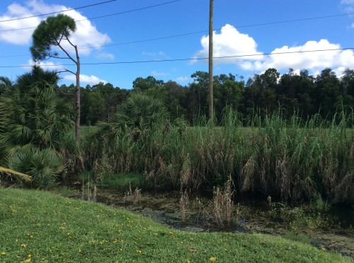 207 Dorchester I, West Palm Beach FL  exterior