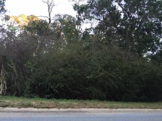 9664 Hollowbrook Dr, Pensacola, FL 32514-1613