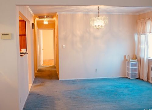 77-80 Langdale St, New Hyde Park NY  11040-1505 exterior