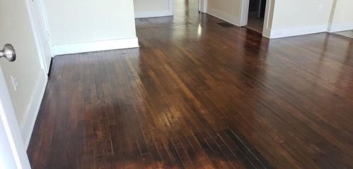 913 Berkshire Ave, Pittsburgh PA  15226-2136 exterior