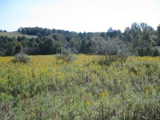 836 Caldwell Hill Rd, Centerlisle, NY 13797-1603