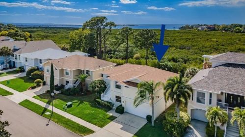 1061 Pointe Alexis Dr, Tarpon Springs, FL 34689-7127