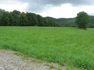 3 Robert Young Rd, Starksboro, VT 05487
