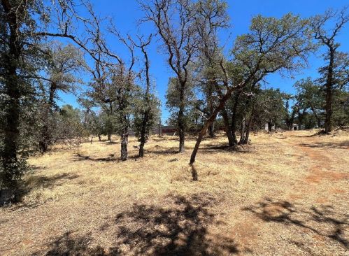 6321 Upper Palermo Rd, Oroville CA  95966-9017 exterior