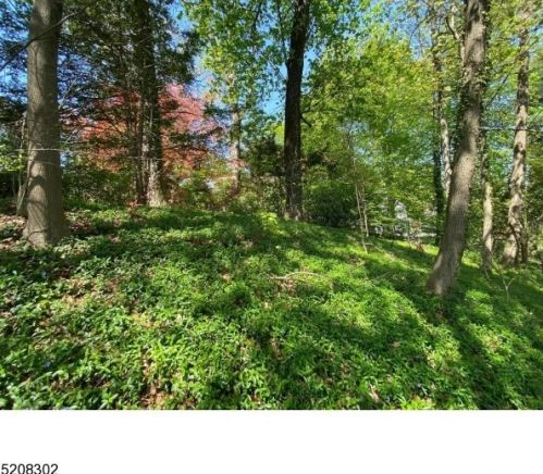 128 Fairmount Ave, Chatham Township NJ  07928-1836 exterior