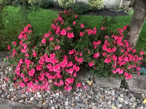 165 Taft Dr, Bricktown NJ  08724-3267 exterior