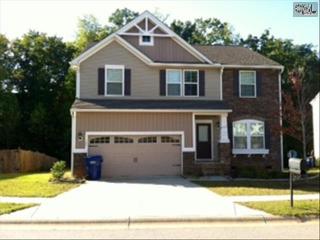 129 Hammock Dr, Lexington SC  29072-6860 exterior