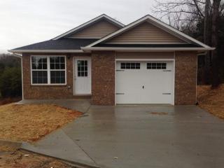 1921 Heather Lea Dr, Pigeon Forge, TN 37876-0673