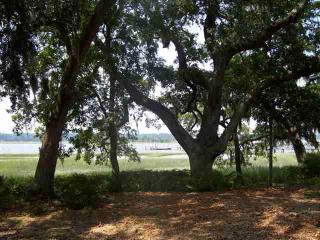 3 Seabrook Point Ct, Seabrook, SC 29940-3524