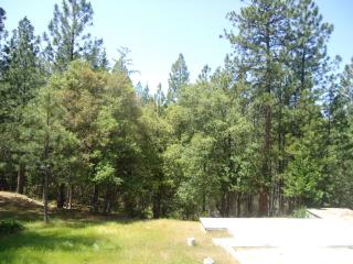 11956 Mountain Springs Ct, Groveland, CA 95321-9569