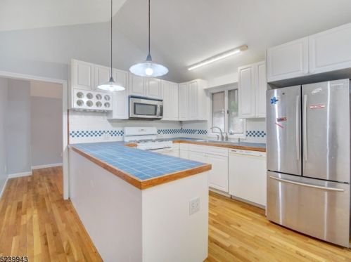 29 Estling Lake Rd, Parsippany NJ  07834-1916 exterior