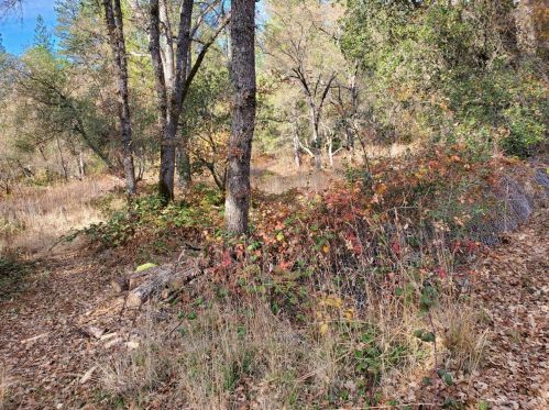 19178 Indian Springs Rd, Lake Wildwood CA  95946-9330 exterior