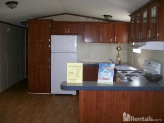 183 Silver Birch Cir, Osceola NC  27214-9774 exterior