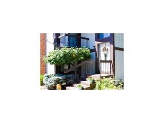 886 Kirkwall Dr, Akron, OH 44321-1776