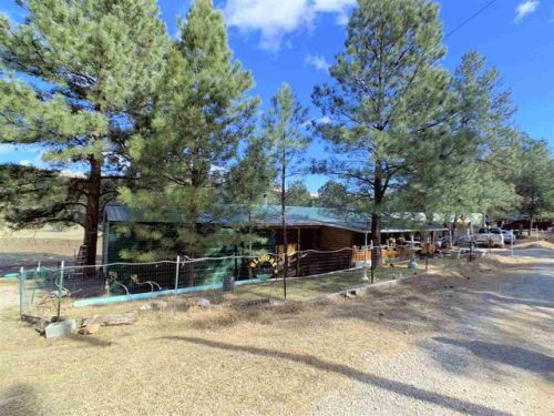 67 Valley Ave, Flying H, NM 88339-9213