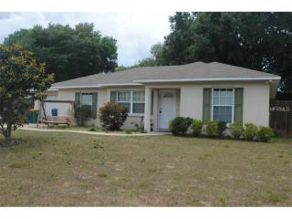464 Magnolia Ridge Ave, Tavares, FL 32778-5186
