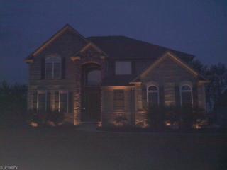 3238 Blue Heron Trce, Medina, OH 44256-6363