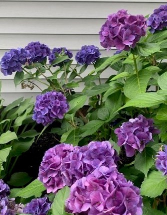 53 Center St, Easton, MA 02356-1842