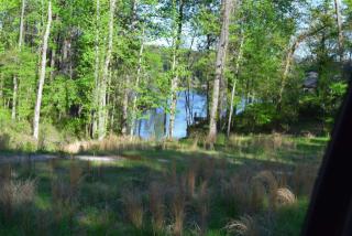 330 Horse Creek Rd, Batesburg-Leesville, SC 29070-8994