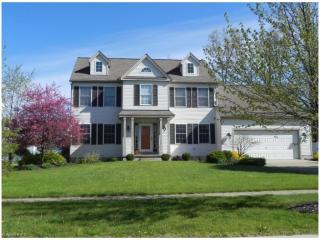 1321 Dover Dr, Medina, OH 44256-4089