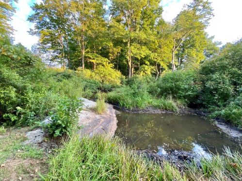 55 Shoddy Mill Rd, Manchester CT  06043-7817 exterior