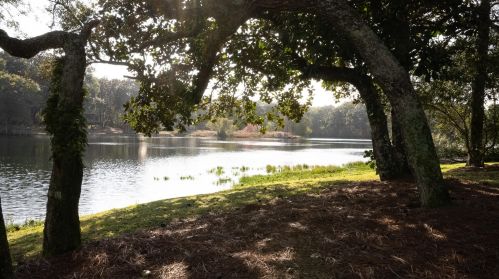 128 Darrell Ct, Freeport FL  32439-6668 exterior