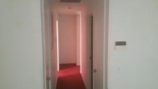 14757 Woodard Cove Ct, Winter Garden FL  34787-5127 exterior