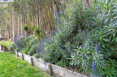 1485 Terra Nova Blvd, Pacifica CA  94044-3616 exterior