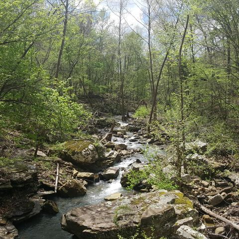 2140 County Road 982, Alpena, AR 72611-8914