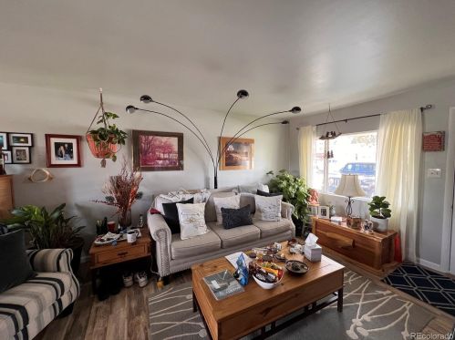 1300 Mount Massive Dr, Leadville, CO 80461-3449