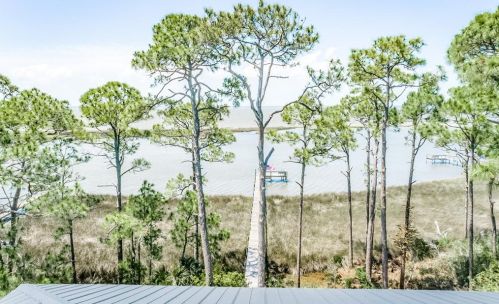 1673 Gulf Beach Dr, Saint George Island FL  32328-3107 exterior