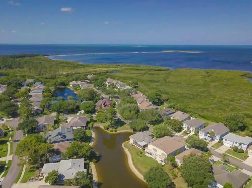 1040 Pointe Alexis Dr, Tarpon Springs FL  34689-7119 exterior