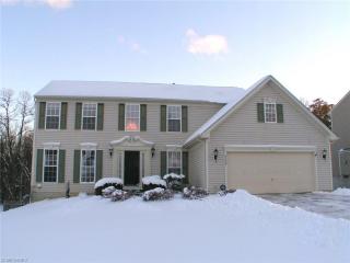 4540 Lexington Ridge Dr, Medina OH  44256-6376 exterior