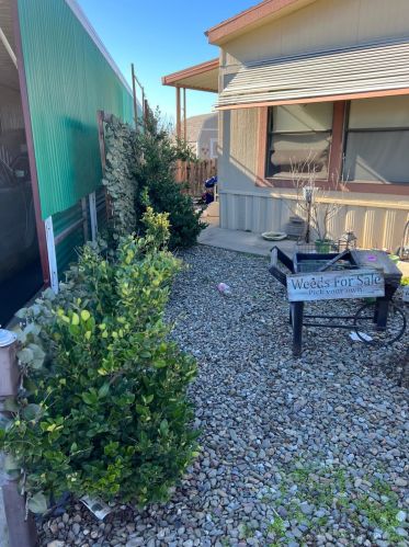 1830 Yosemite Ave, Manteca CA  95336-5009 exterior