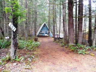 167 Sunstone Rd, Packwood, WA 98361-9723