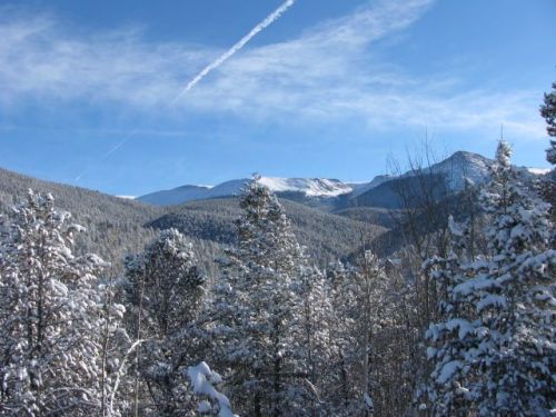 73 Leucite Ln, Divide, CO 80814-7764