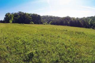 1772 Eads Bluff Rd, Georgetown TN  37336-4910 exterior