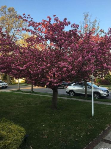 755 Evelyn Ave, North Bellmore, NY 11710-1309