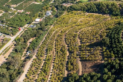 475 Glen Annie Rd, Santa Barbara, CA 93117-1427